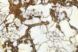 Polished Wild Horse Magnesite Slab - Arizona #264005-1